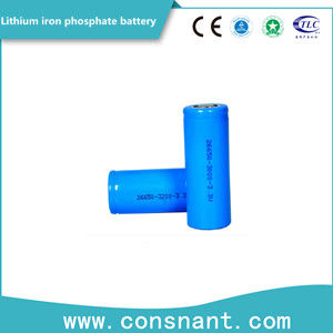 Vita servente del litio del ferro del fosfato del ciclo lungo leggero di piccola dimensione della batteria